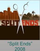 “Split Ends” 2008